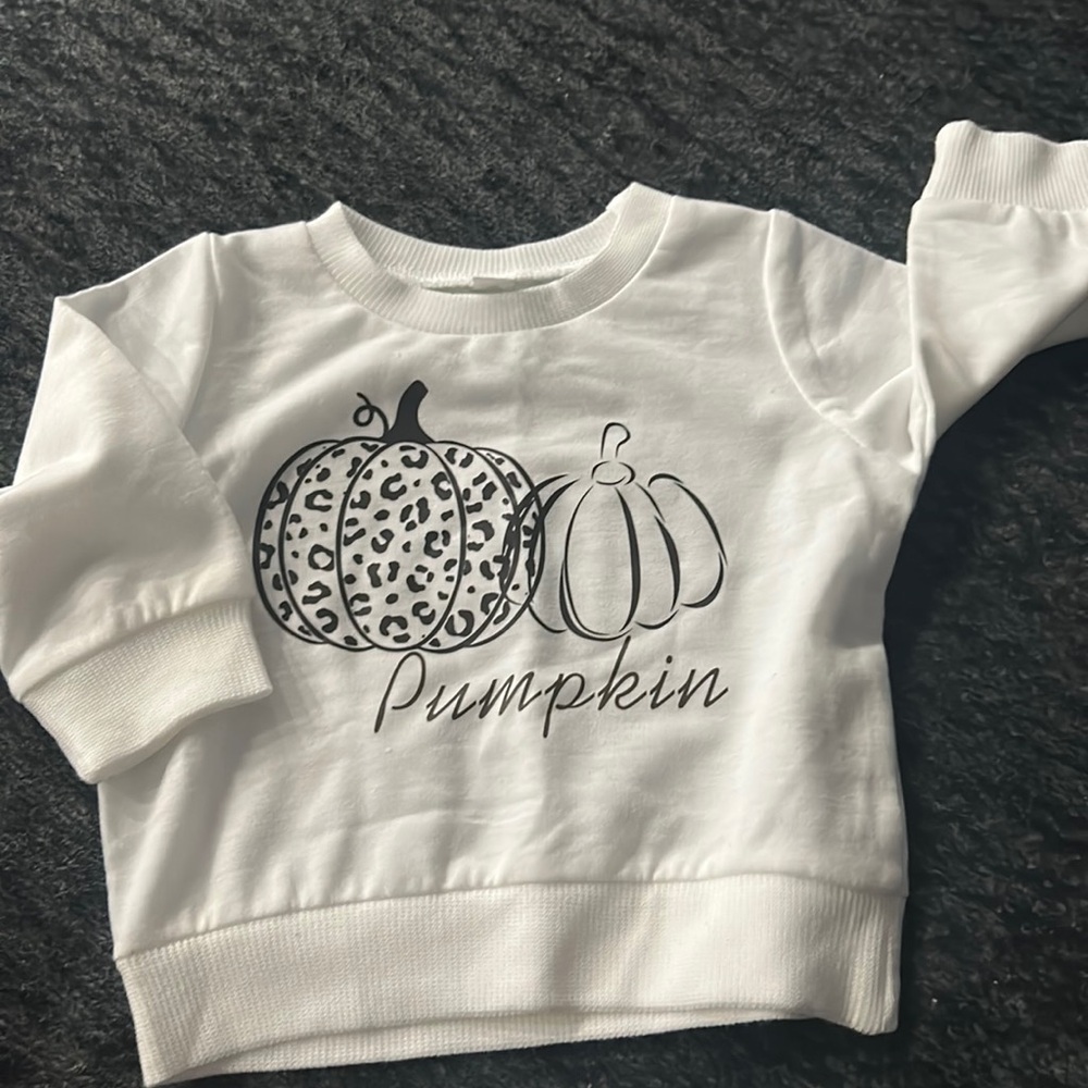 Toddler pumpkin sweater NWOT